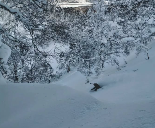 Through the White Torii